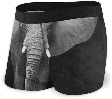 elephant trunk underwear|Elephant Trunk Underwear .